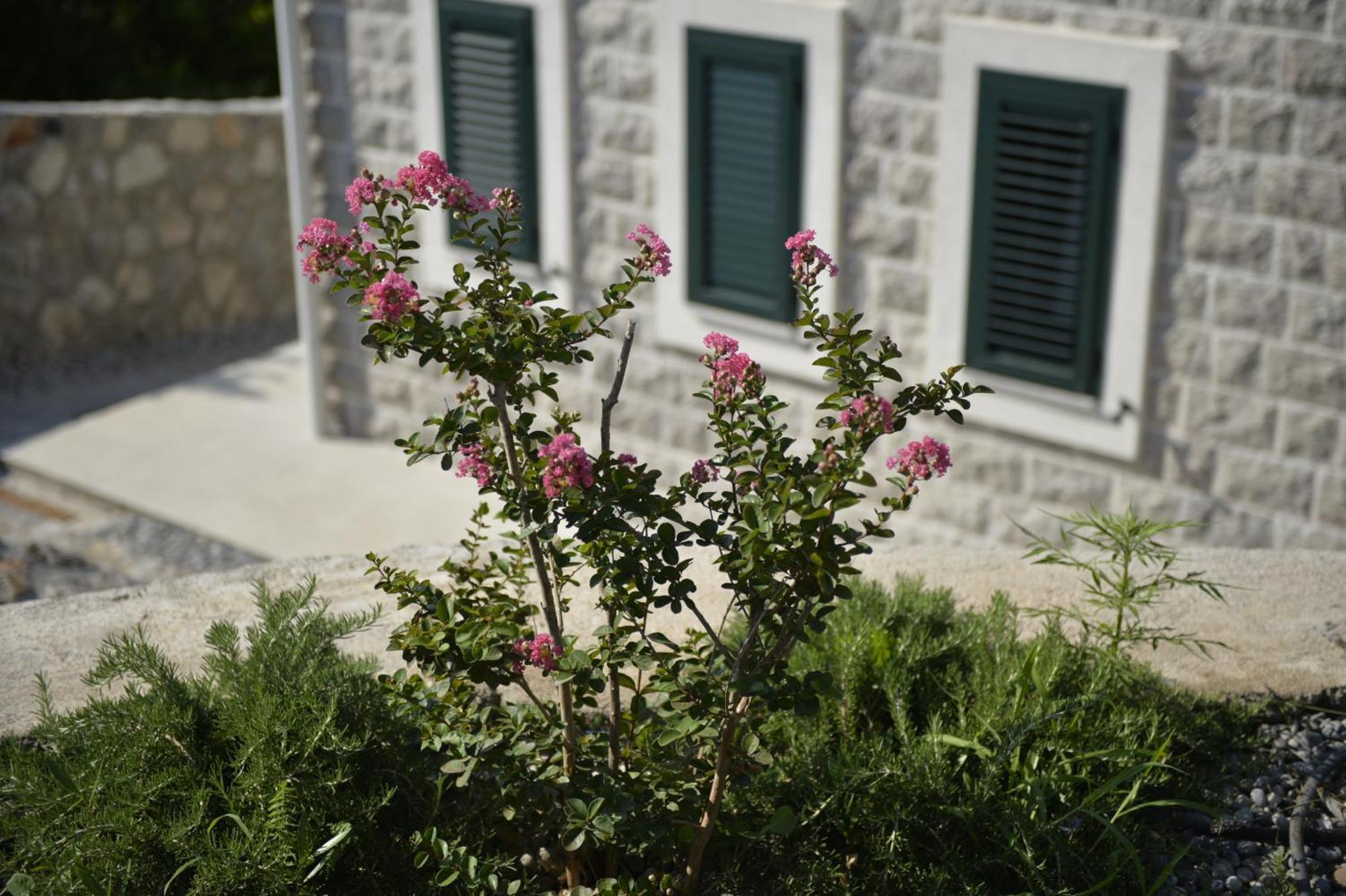 Villa Vista Azzurra Tivat Exterior photo